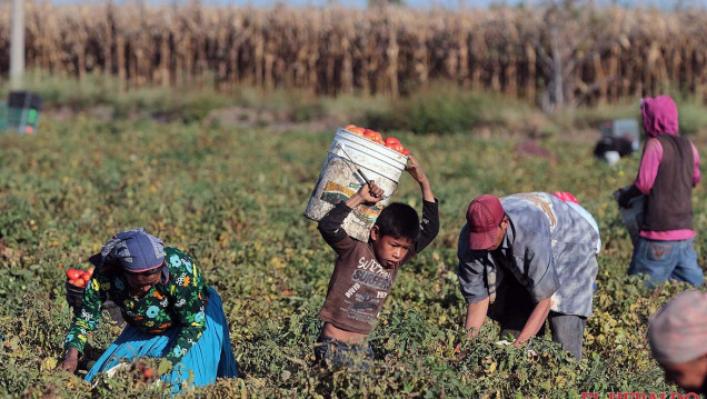 imagen En el mundo hay más de 45 millones de esclavos