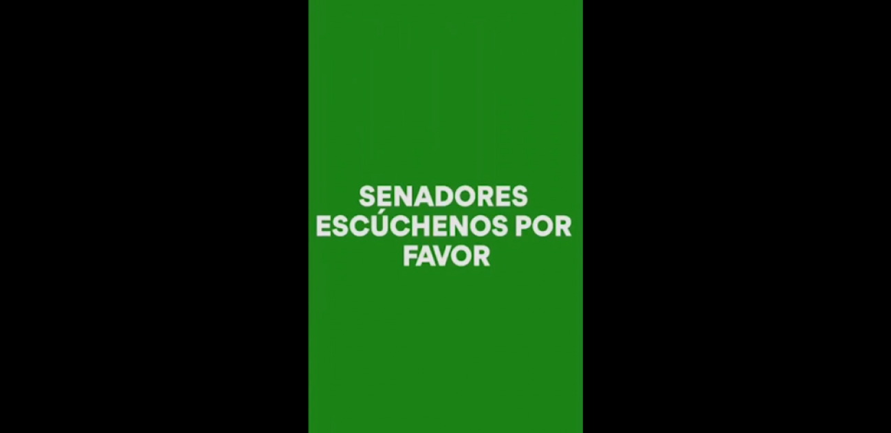 imagen La juventud partidaria pidió aborto legal ya