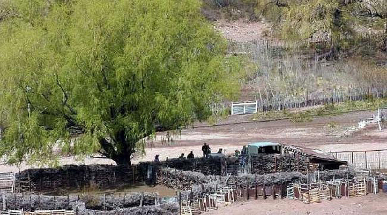 imagen Campesinos argentinos exigen la aprobación de la Ley contra los Desalojos
