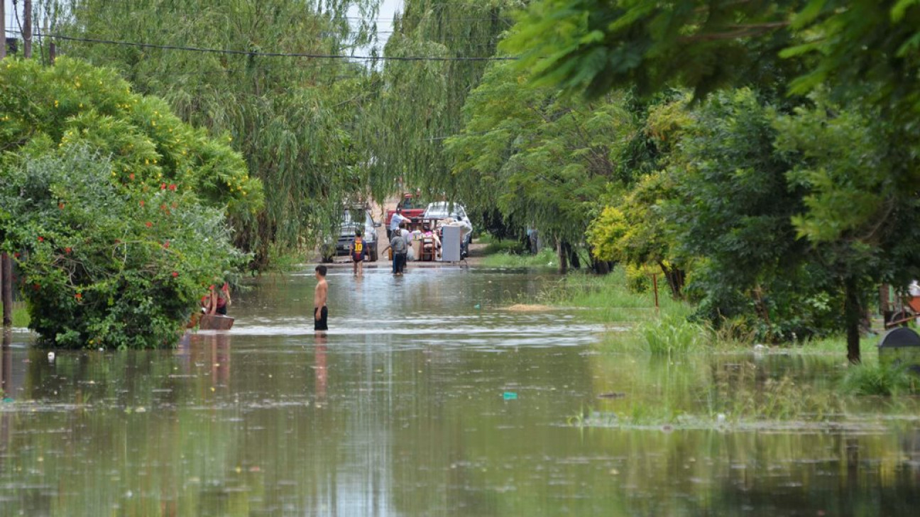 imagen Las inundaciones en Santa Fe impactan en el sector productivo