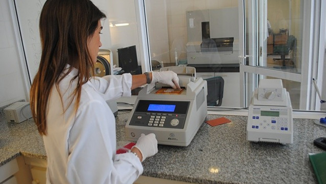 imagen Sectores de la ciencia y la tecnología generaron 20 mil puestos de trabajo desde 2019