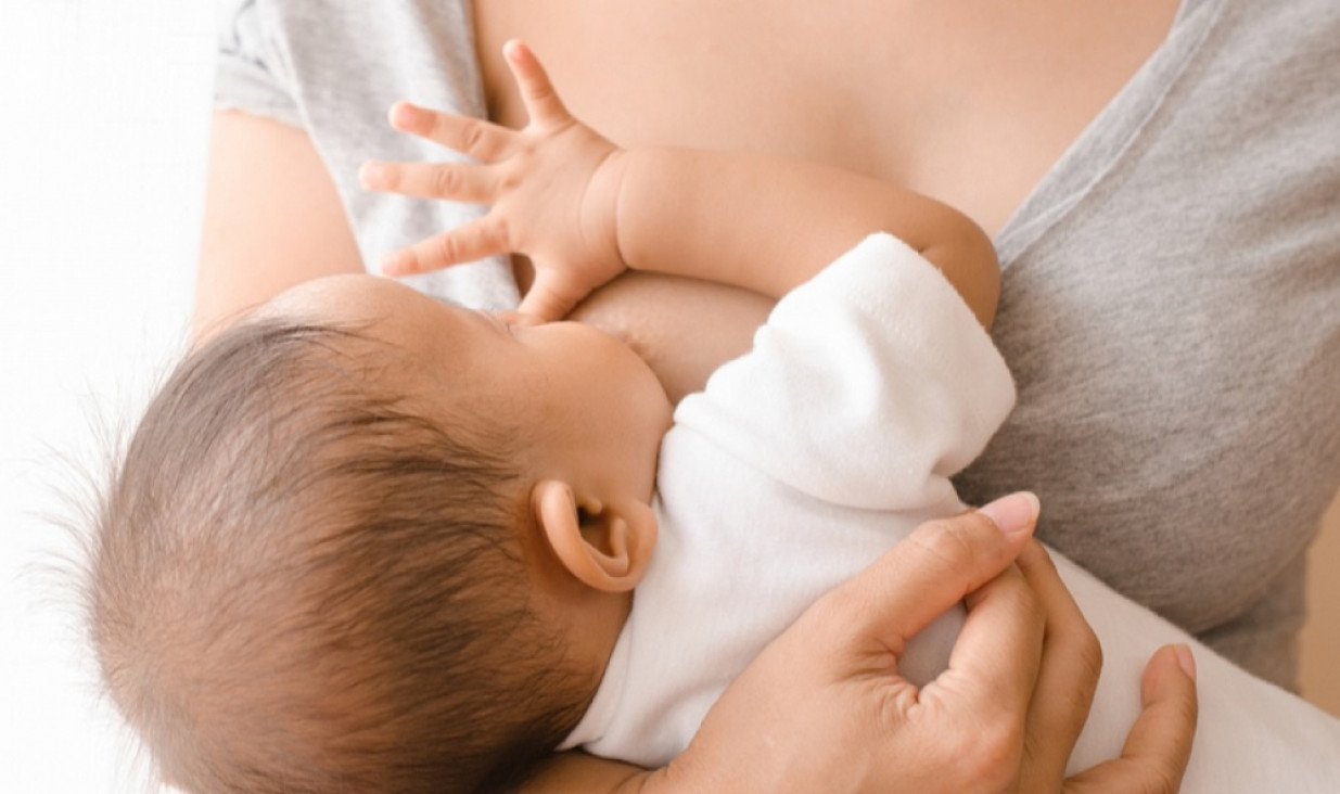imagen Parto posmoderno y lactancia, armonía para la madre y su bebé