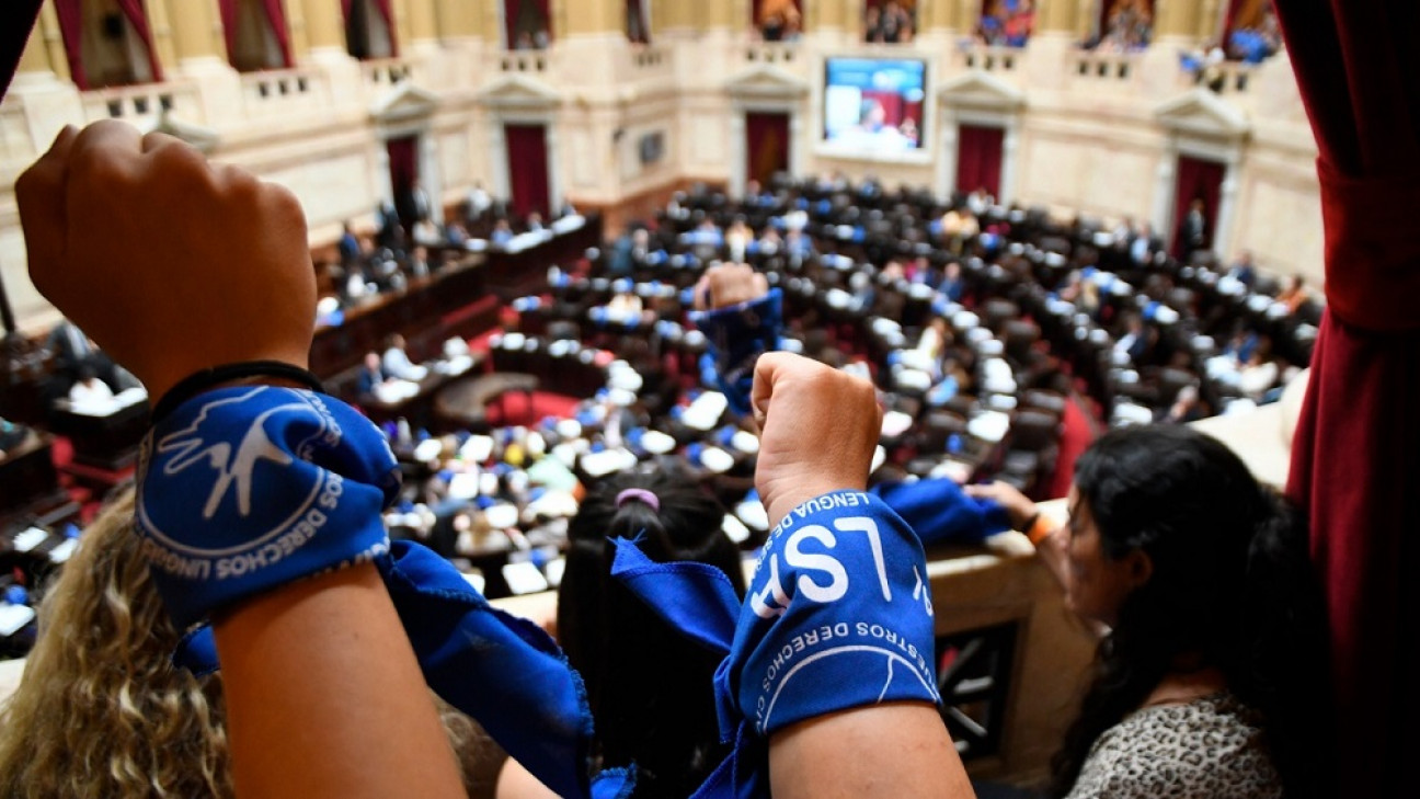 imagen Todo listo en el Senado para aprobar el proyecto que reconoce como natural el lenguaje de señas