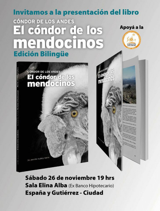 imagen Presentarán un libro sobre "el cóndor de los mendocinos"