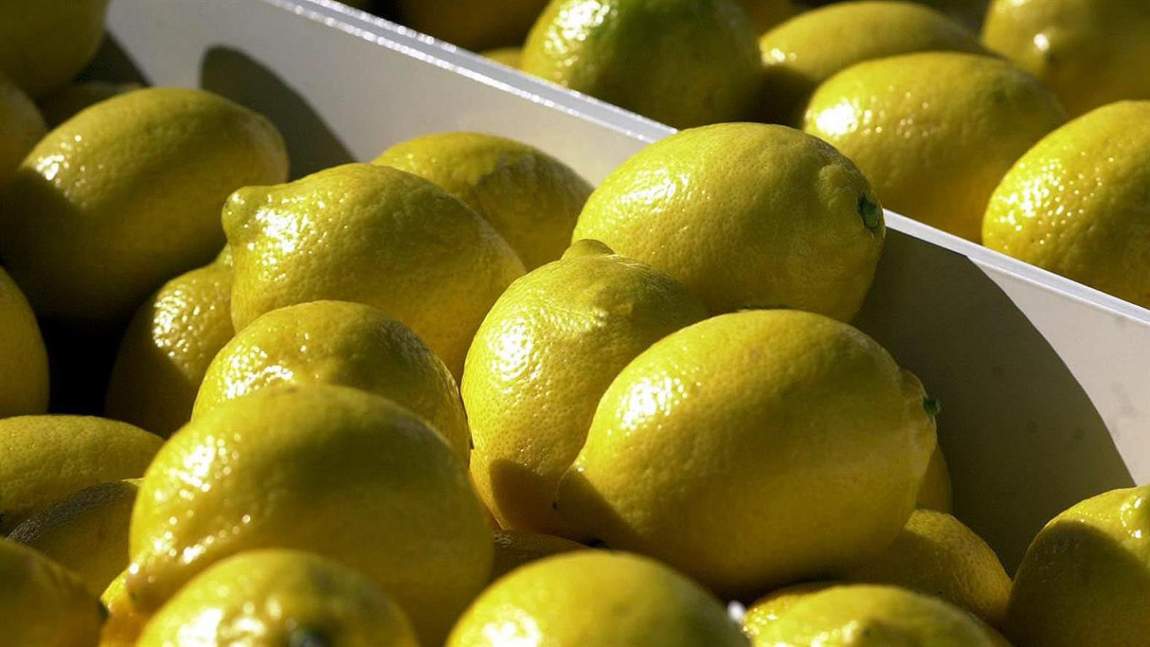 imagen Dos de cada diez limones que se consumen en el mundo se producen en Argentina