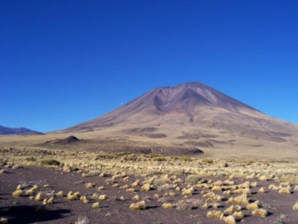 imagen Paraíso morfológico