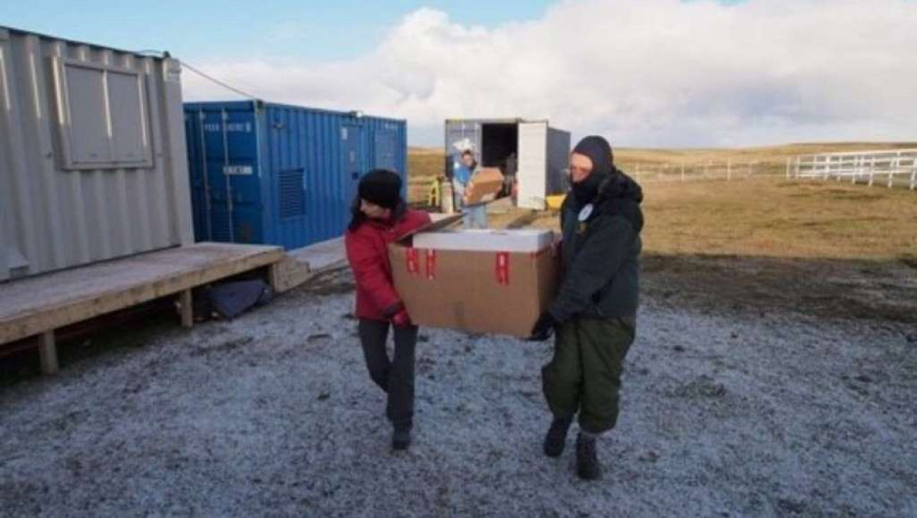 imagen La Cruz Roja terminó de exhumar en Malvinas las tumbas de soldados caídos