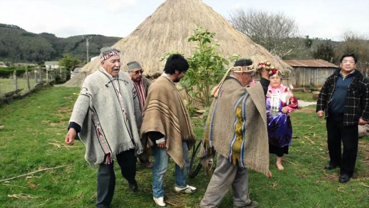 imagen "Las empresas se benefician de la estigmatización mapuche"