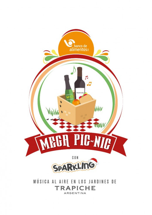 imagen Mega picnic solidario 