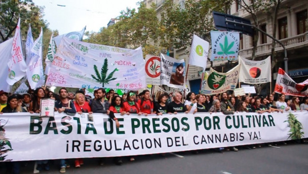 imagen Empezó el debate para despenalizar el consumo de drogas