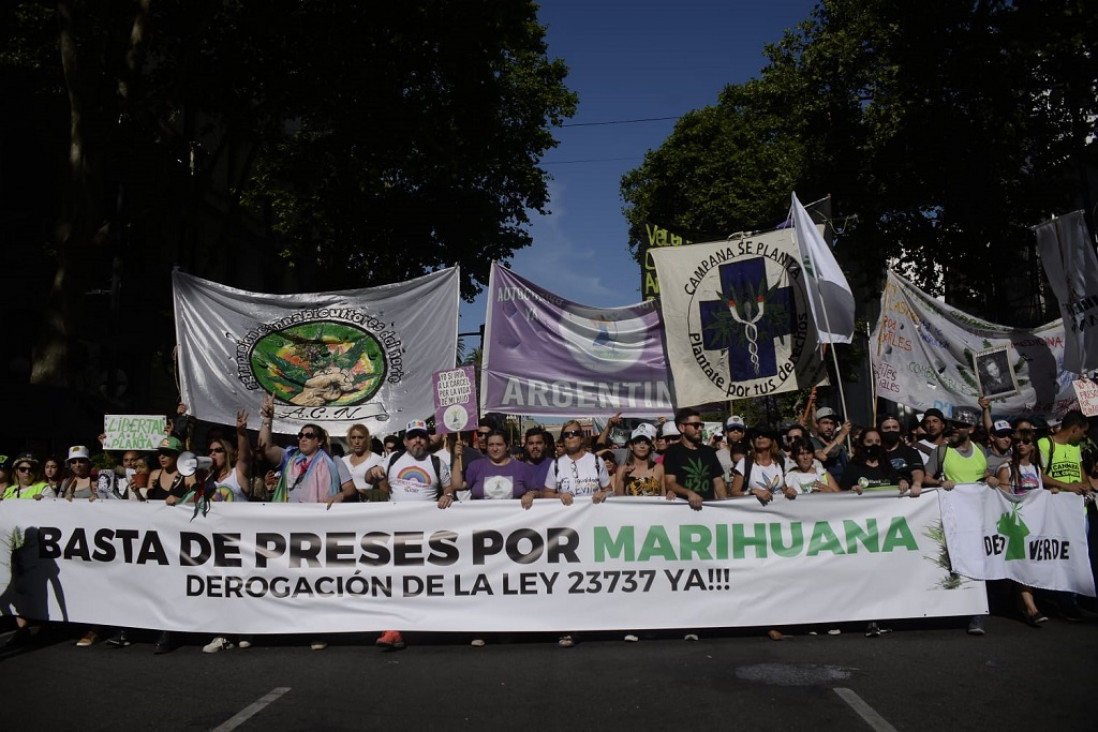 imagen Proyecto de ley que propone despenalizar el cultivo y consumo personal de drogas