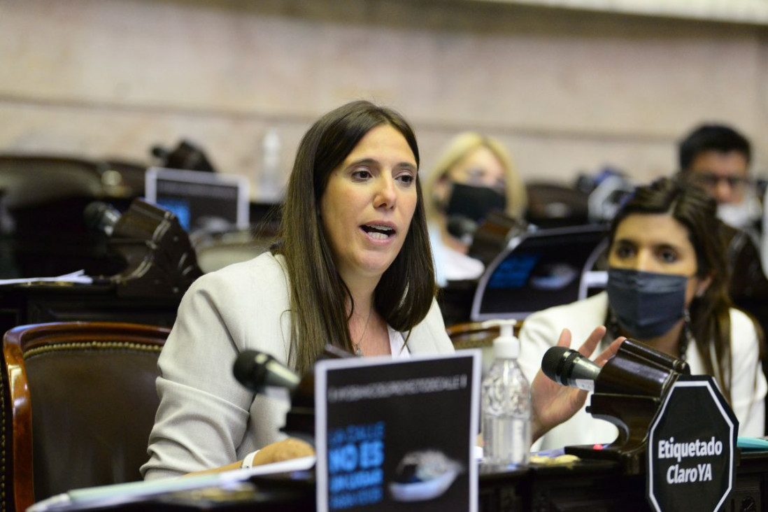 imagen Moratoria previsional: qué posibilidades hay de extender la ley