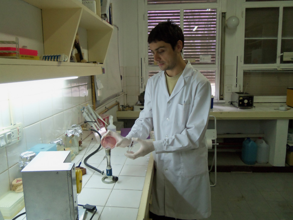 imagen Avances en la prevención del Síndrome Urémico Hemolítico
