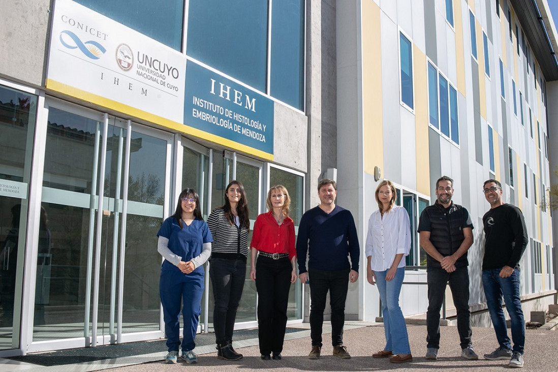 imagen Hallazgo de un equipo de la UNCUYO y el Conicet para una fecundación exitosa
