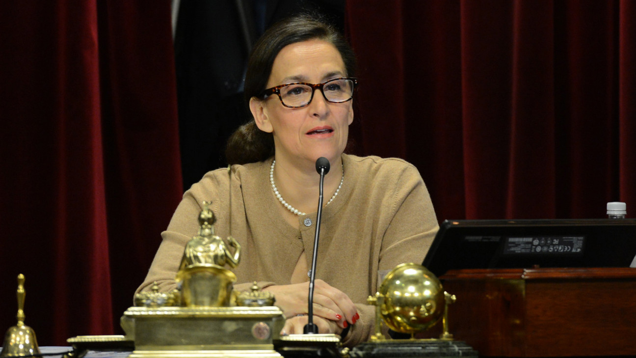 imagen Michetti pidió sesión especial para tratar el pedido de allanamiento a CFK
