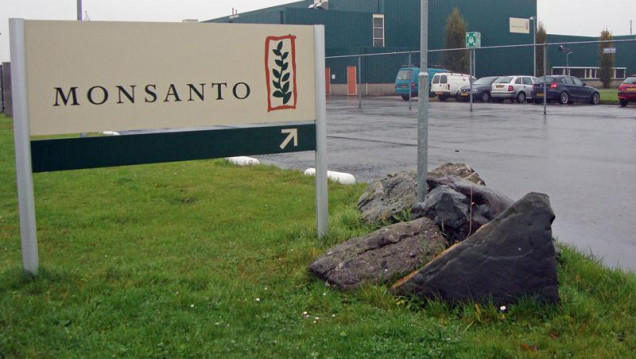 imagen Acusan de "ecocidio" internacional a la multinacional Monsanto