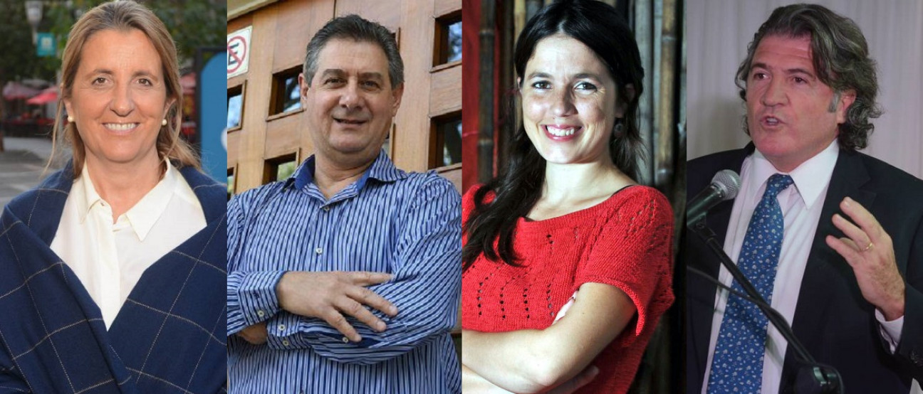 imagen Elecciones legislativas: datos reveladores de una encuesta mendocina
