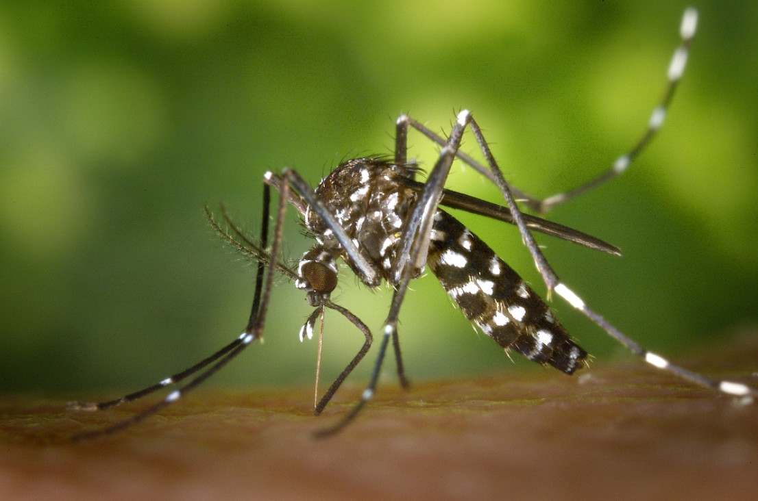 imagen A las bacterias y a los virus les sienta bien el cambio climático