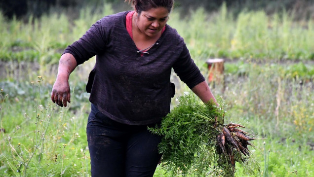 imagen La brecha de género se intensifica en el mundo rural entre varones, mujeres y LGBTIQ+