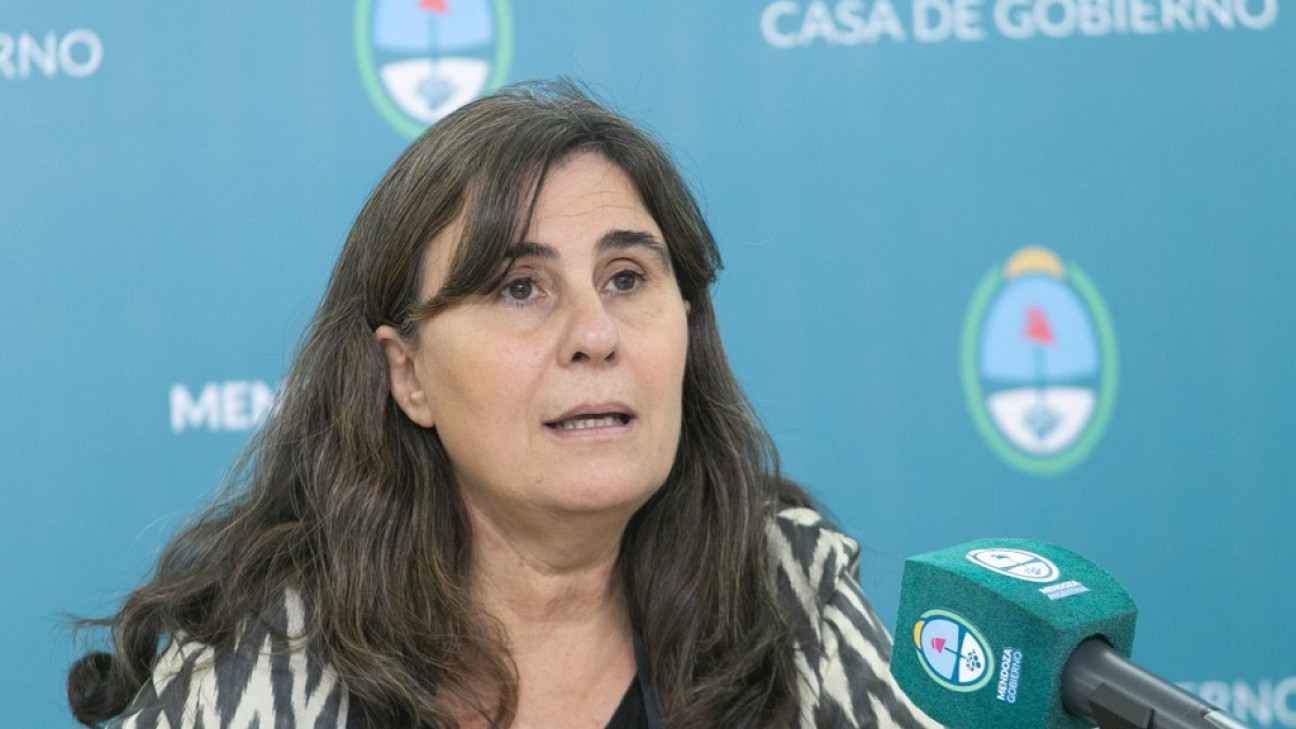 imagen Vacunación antigripal: llega el turno para personas de 2 a 65 años con enfermedades de base