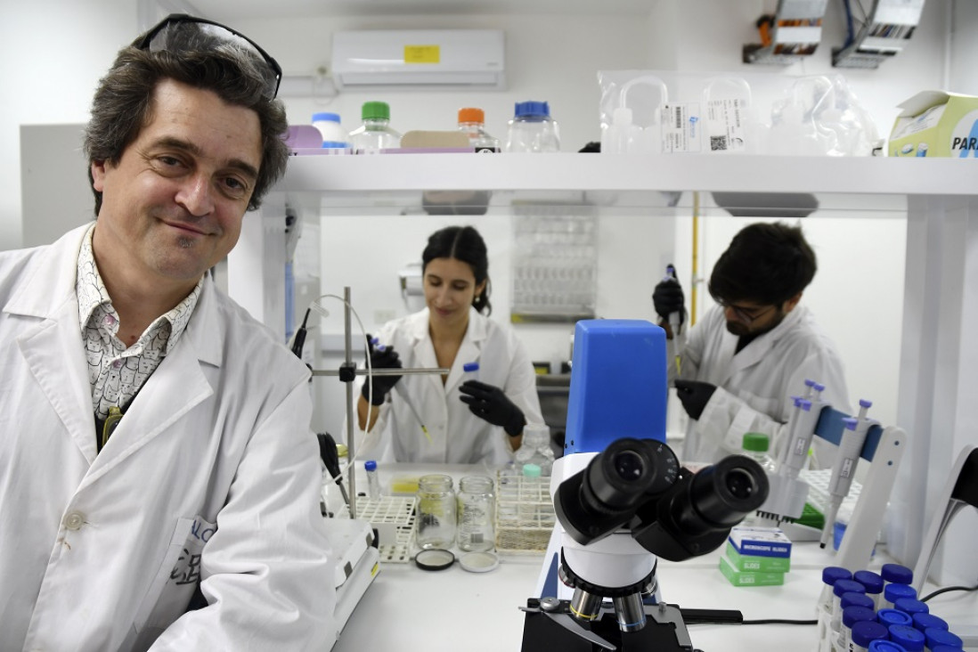 imagen Nanociencias: una revolución en miniatura que "cambia la forma de ver el mundo"
