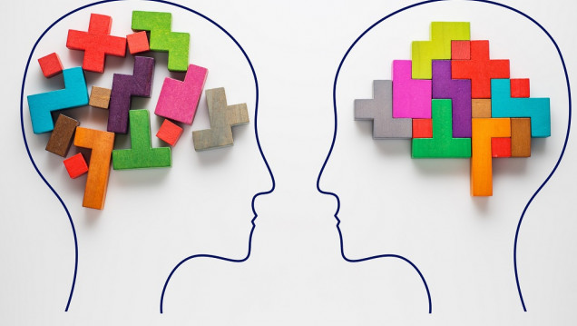 imagen Memoria y cerebro: romper con el sesgo de género como elemento diferenciador en las ciencias