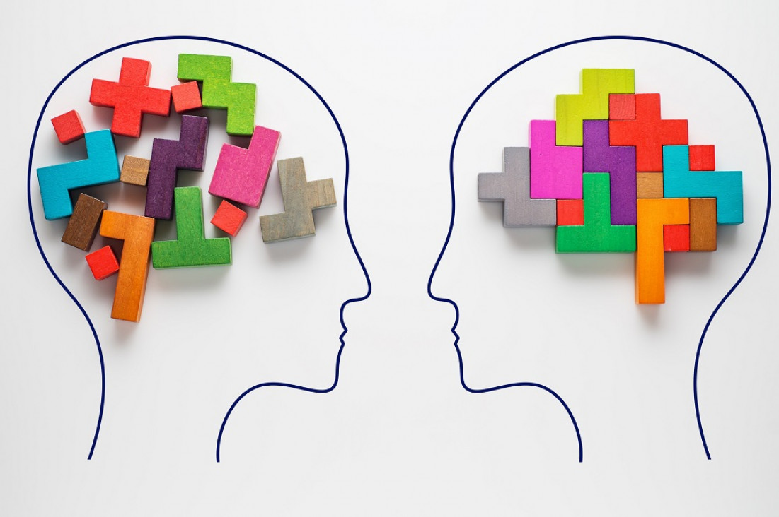imagen Memoria y cerebro: romper con el sesgo de género como elemento diferenciador en las ciencias
