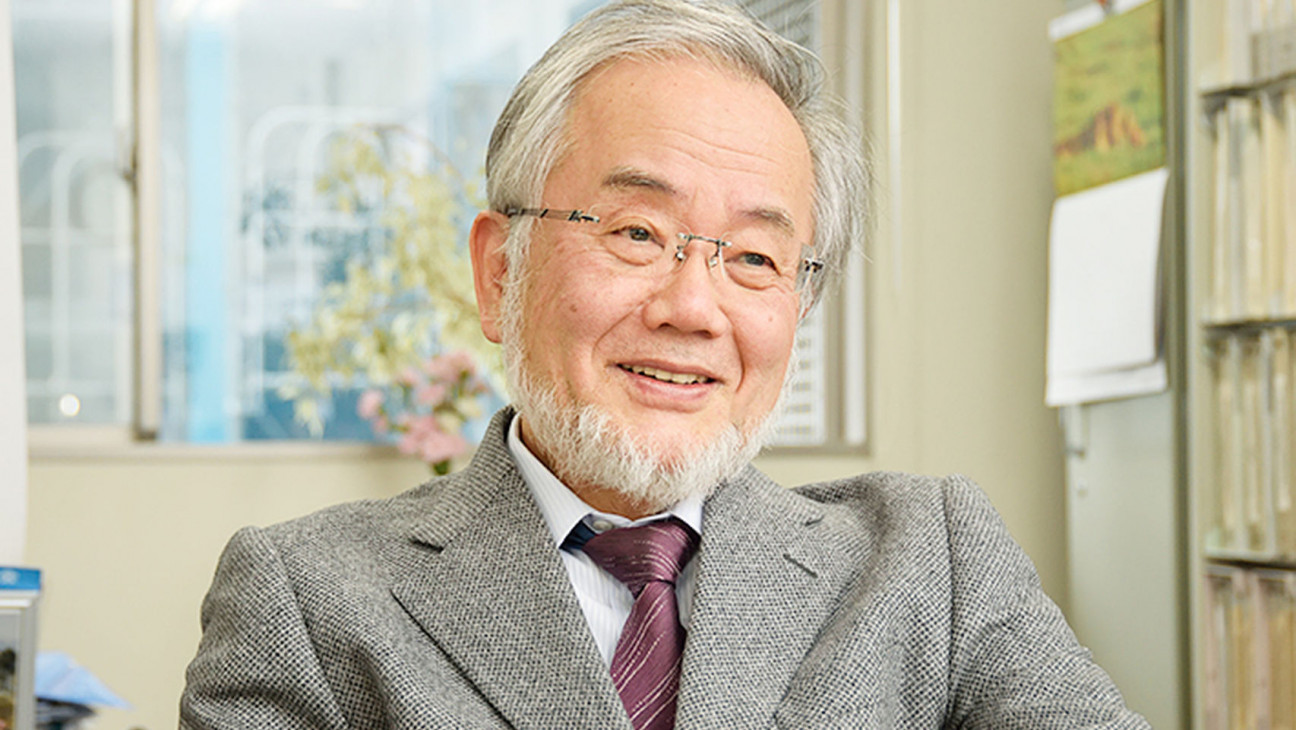 imagen Un japonés obtuvo el Premio Nobel de Medicina 2016