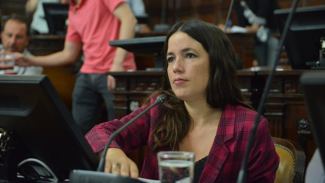 imagen Tras el aumento, un legislador cobra $ 80 mil de bolsillo