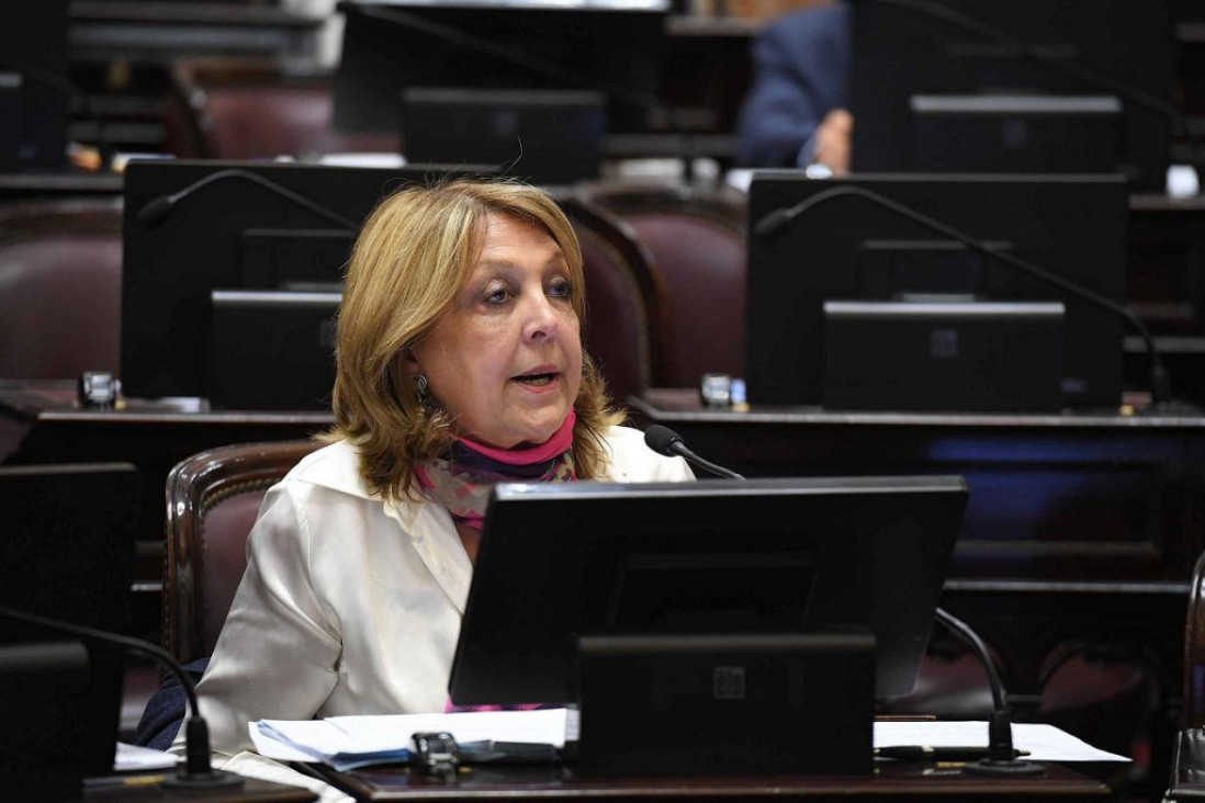 imagen Se constituyó la Bicameral que designará al Defensor del Niño