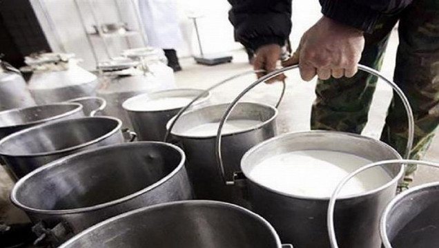 imagen Tamberos regalarán leche en Plaza de Mayo