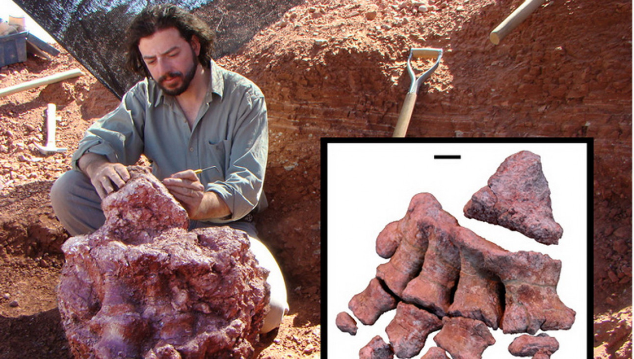imagen El hombre detrás del Notocolossus 