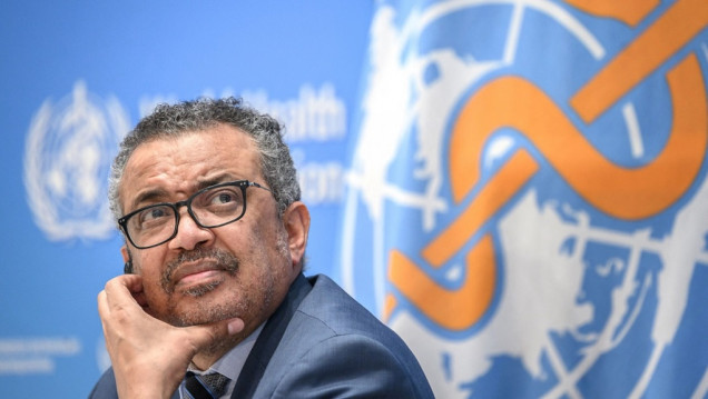 imagen Covid-19: el jefe de OMS promete seguir investigando hasta determinar origen de la enfermedad