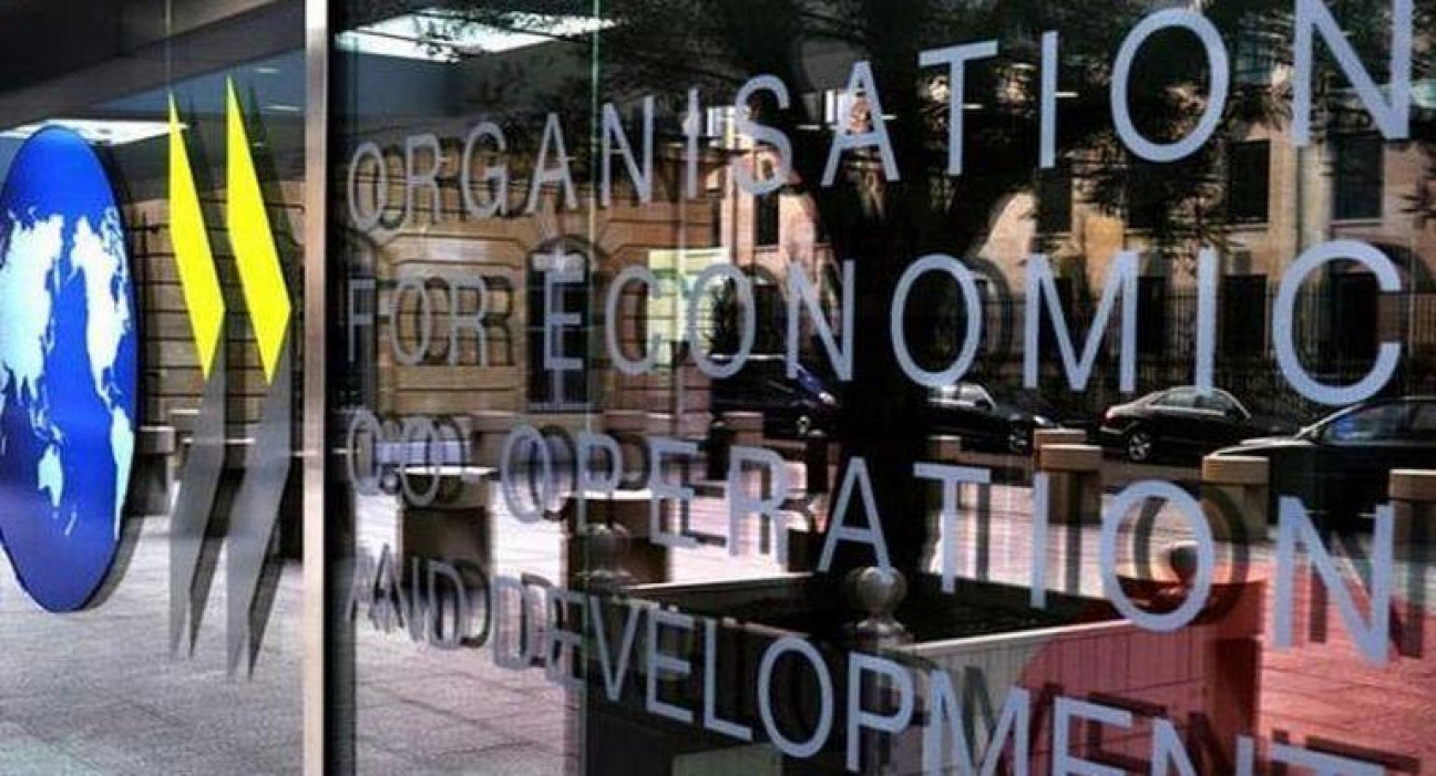 imagen La OCDE advirtió que la Argentina seguirá en recesión durante 2019