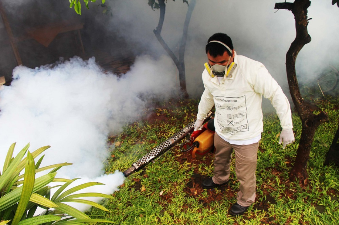 imagen Chikungunya: la enfermedad que tiene en alerta a Paraguay y que ya llegó a territorio argentino