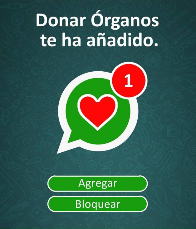 imagen Paso a paso: cómo anotarte para donar tus órganos