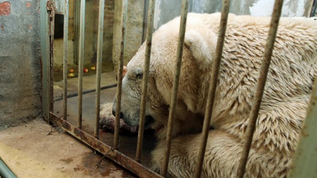 imagen Más solo que Arturo