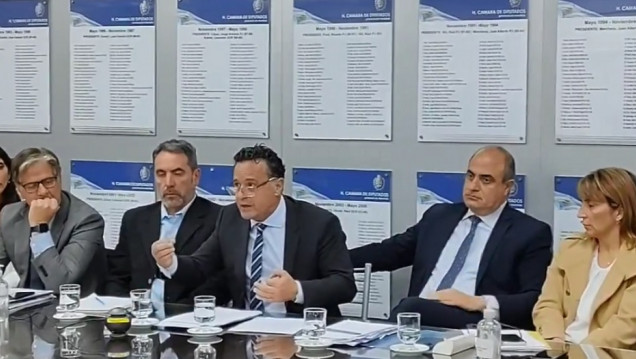 imagen Adaro y Palermo consideraron que el proyecto que busca modificar la Corte local es antidemocrático
