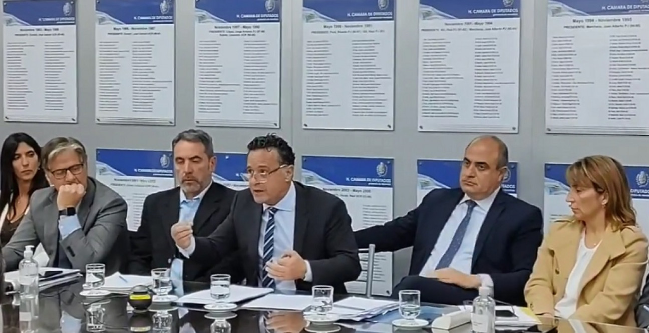 imagen Adaro y Palermo consideraron que el proyecto que busca modificar la Corte local es antidemocrático