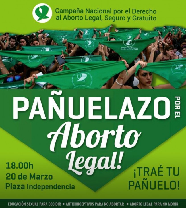 imagen Diputados comenzará a debatir los proyectos sobre el aborto