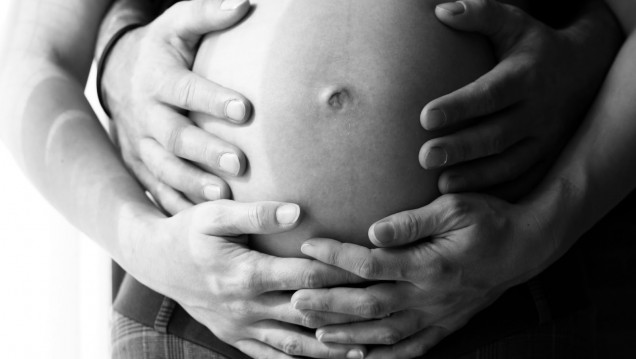 imagen El ejecutivo no ampliará las licencias por maternidad y paternidad