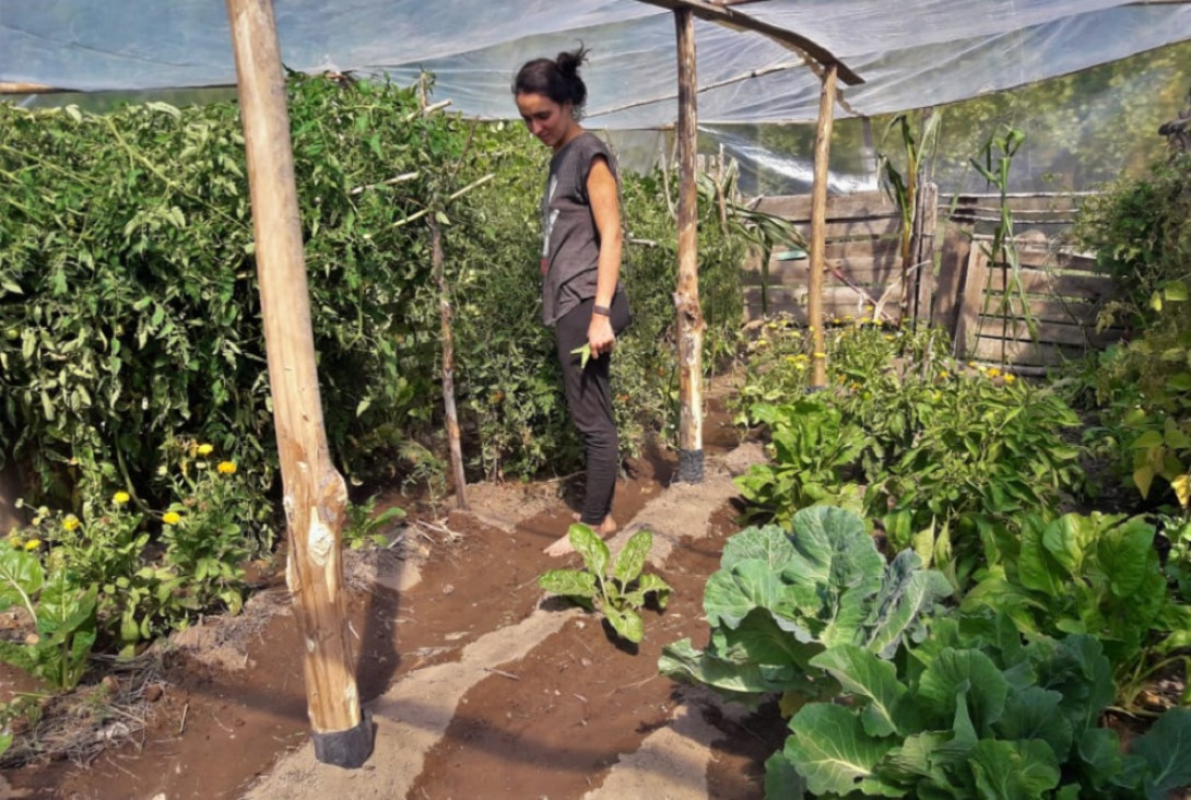 imagen Historias de seis mujeres que protagonizan la nueva etapa del campo mendocino
