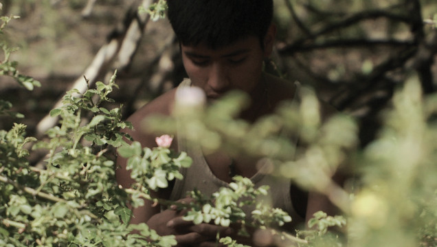 imagen Bafici: Tierra de Dios