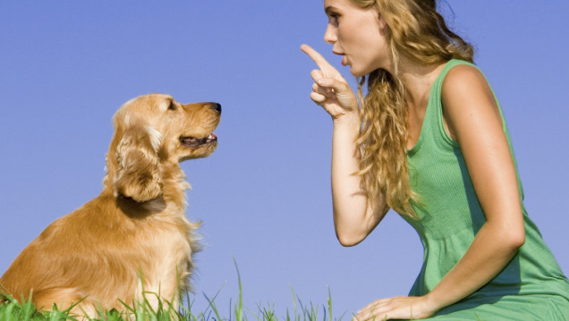 imagen La ciencia descubrió por qué le hablamos a perros y gatos como si fueran bebés