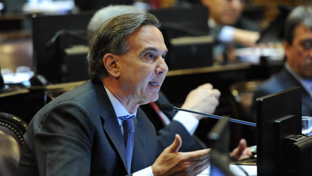 imagen Senadores kirchneristas se despegan de Pichetto por las cesantías