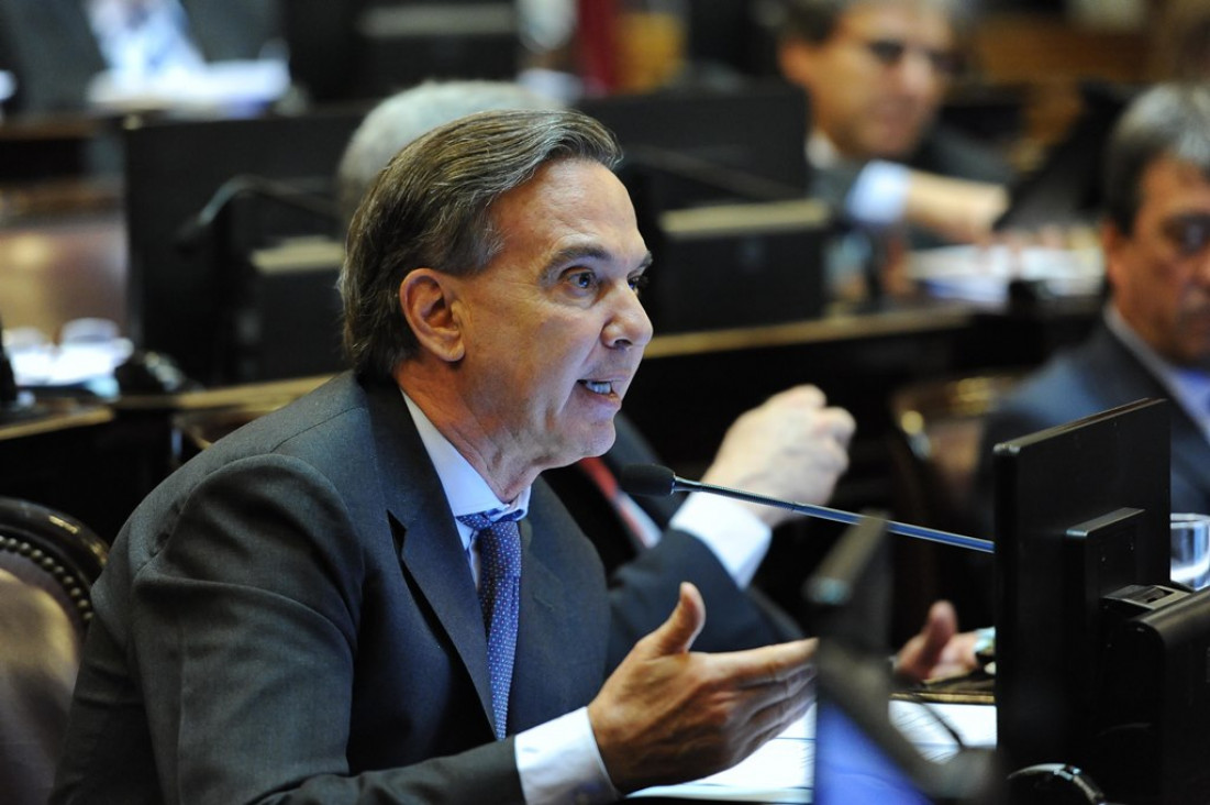 imagen Senadores kirchneristas se despegan de Pichetto por las cesantías