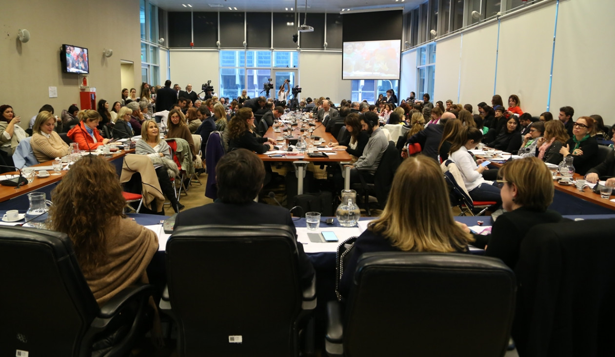 imagen Diputados consensuaron un proyecto para aprobar la ley de aborto