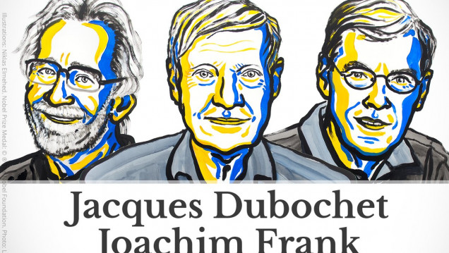 imagen Tres investigadores de biomoléculas ganaron el Nobel de Química