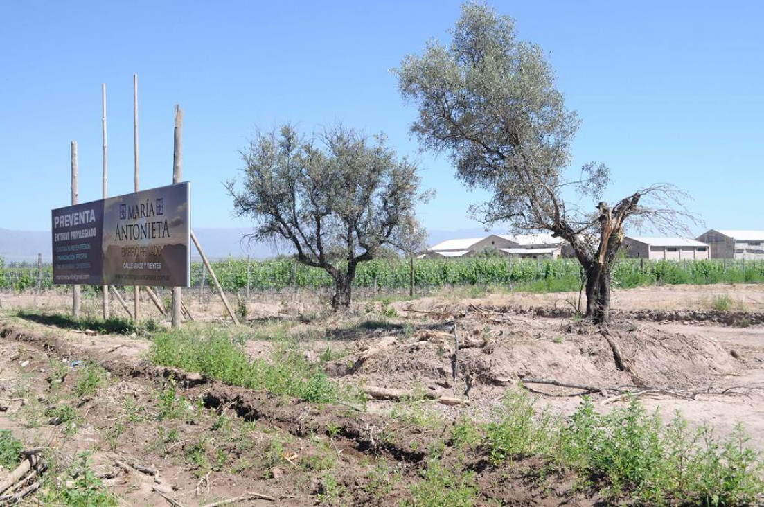 imagen Las deudas del ordenamiento territorial: crear mecanismos de premios y castigos para pasar a la práctica