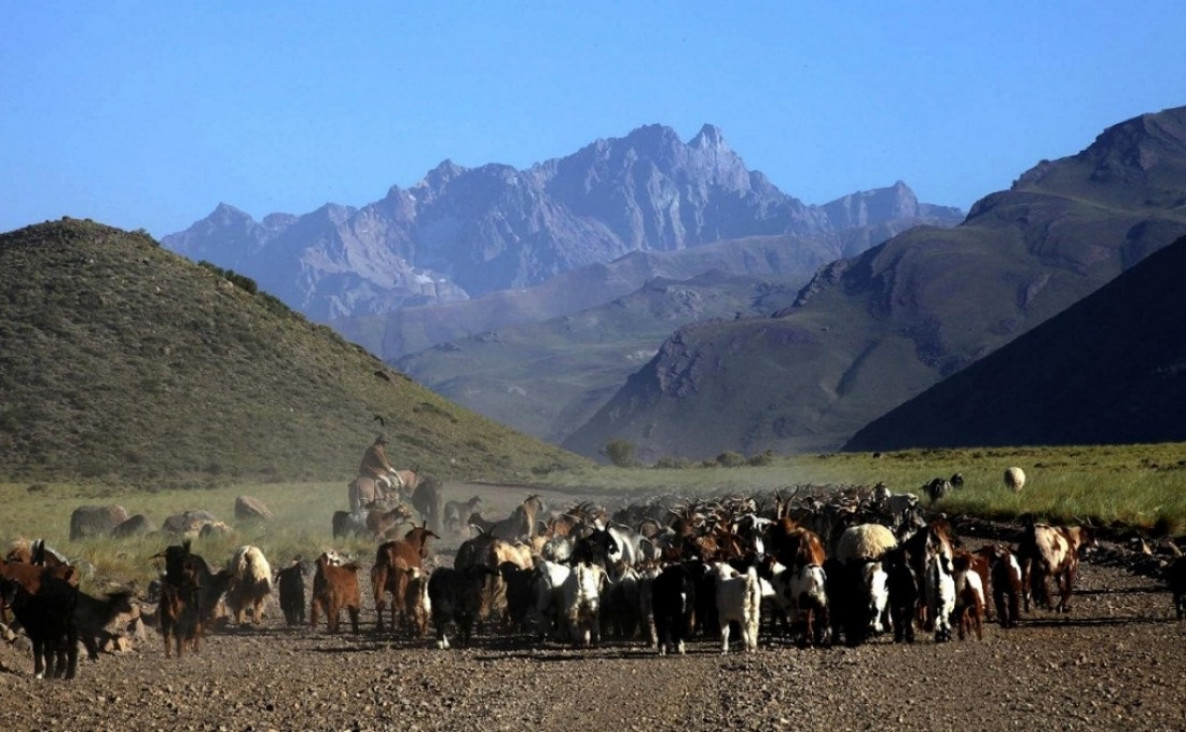 imagen Mapuches o mapuches autopercibidos: el debate de su historia en Mendoza y los conflictos por la posesión de tierras